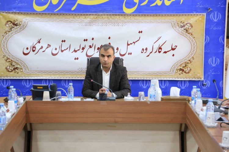 معاون هماهنگی امور اقتصادی استانداری هرمزگان، اهم برنامه های حوزه اقتصادی در سال سرمایه گذاری برای تولید را اعلام کرد