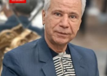 پازل توسعه یافتگی به قلم دکتر مجید دهقانی