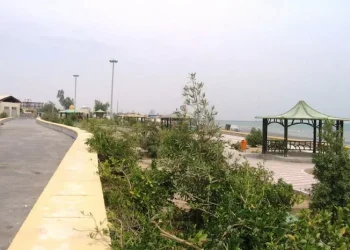 احداث ۵ کیلومتر «پیاده روی خنک» در ساحل سورو؛ کاهش دمای سطح تا ۱۵ درجه با فناوری ژئوپلیمر